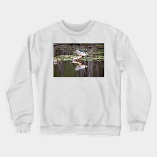 Black-crowned Night Heron Crewneck Sweatshirt